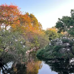 Humpybong Park - Redcliffe