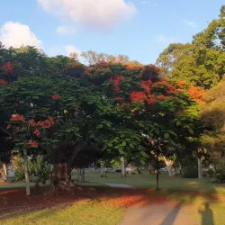 Humpybong Park - Redcliffe