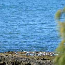 Humpybong Park - Redcliffe