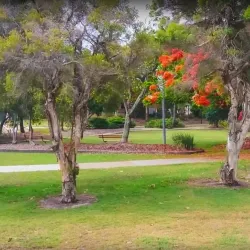Humpybong Park - Redcliffe