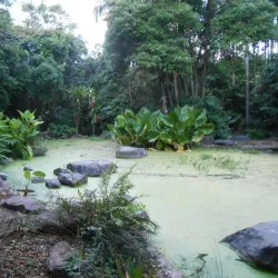 Redcliffe Botanic Gardens - Redcliffe