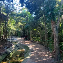 Redcliffe Botanic Gardens - Redcliffe
