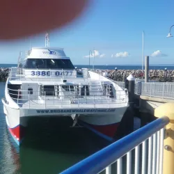 Redcliffe Jetty - Redcliffe