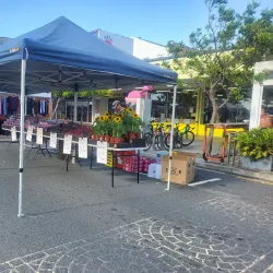Redcliffe Markets - Redcliffe