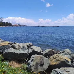 Settlement Cove Lagoon - Redcliffe
