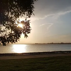 Woody Point Jetty - Redcliffe