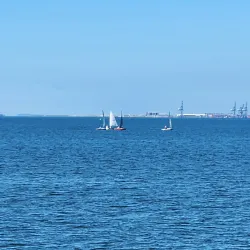 Woody Point Jetty - Redcliffe