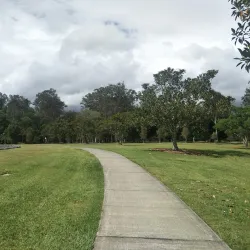 Capalaba Regional Park - Redland City (Redlands)