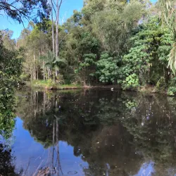 Capalaba Regional Park - Redland City (Redlands)