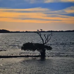 Cleveland Point Lighthouse - Redland City (Redlands)