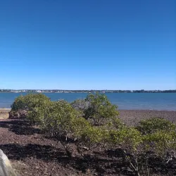 Cleveland Point Lighthouse - Redland City (Redlands)