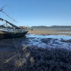 Lamb Island - Redland City (Redlands)