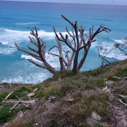 Point Lookout - Redland City (Redlands)