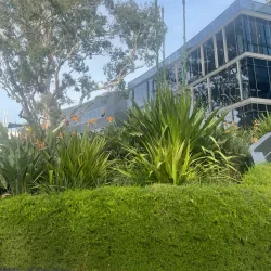 Bridge Road Shopping Precinct - Richmond