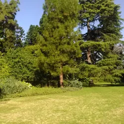 Burnley Gardens - Richmond