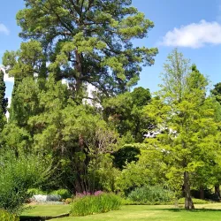 Burnley Gardens - Richmond