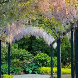 Burnley Gardens - Richmond