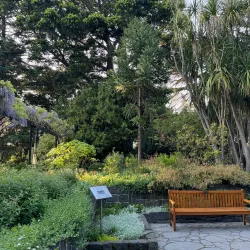 Burnley Gardens - Richmond