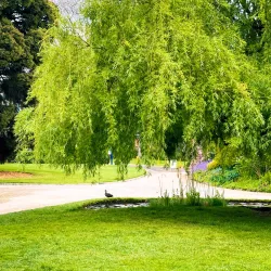 Burnley Gardens - Richmond