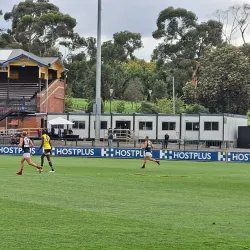 Richmond Football Club (Tigerland) - Richmond