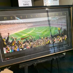 Richmond Football Club (Tigerland) - Richmond