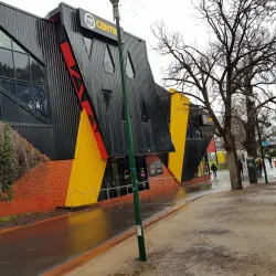 Richmond Football Club (Tigerland) - Richmond