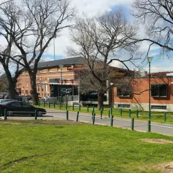 Richmond Football Club (Tigerland) - Richmond