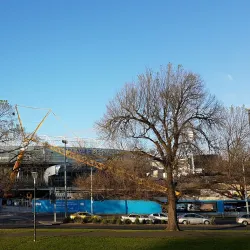 Swan Street - Richmond