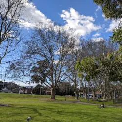 Arncliffe Park - Rockdale