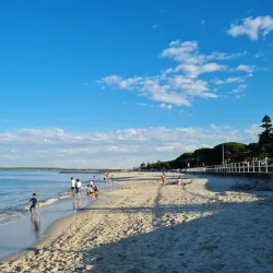 Cook Park - Rockdale