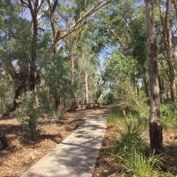 Georges River - Rockdale