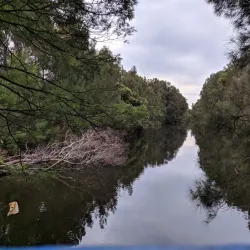Rockdale Bicentennial Park - Rockdale