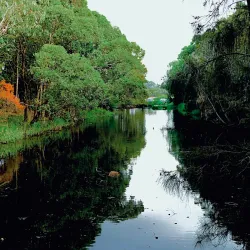 Rockdale Bicentennial Park - Rockdale