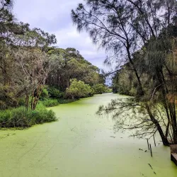 Rockdale Bicentennial Park - Rockdale