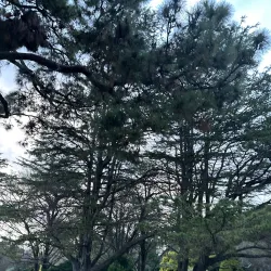 Rockdale Wetlands - Rockdale