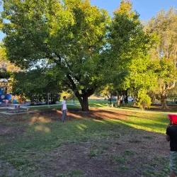 Rockdale Wetlands - Rockdale