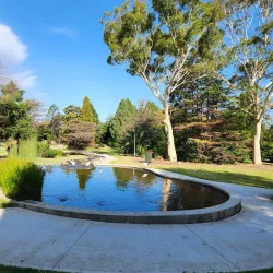 Rockdale Wetlands - Rockdale