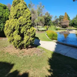 Rockdale Wetlands - Rockdale