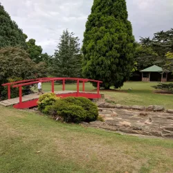 Rockdale Wetlands - Rockdale