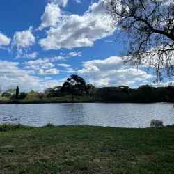 Scarborough Park - Rockdale