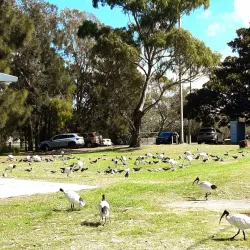 Scarborough Park - Rockdale