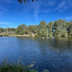 Scarborough Park - Rockdale