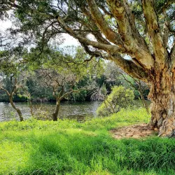 Scarborough Park - Rockdale