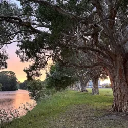 Scarborough Park - Rockdale