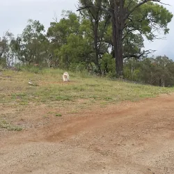 Dreamtime Cultural Centre - Rockhampton