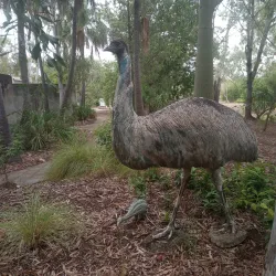 Dreamtime Cultural Centre - Rockhampton