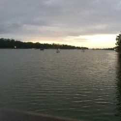 Fitzroy River - Rockhampton