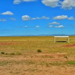 Fitzroy River - Rockhampton