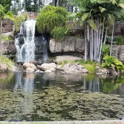 Kershaw Gardens - Rockhampton