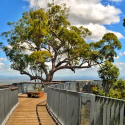 Mount Archer National Park - Rockhampton